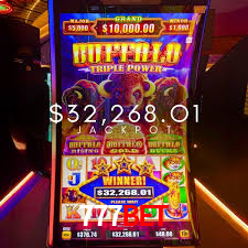 Statistics 777bet